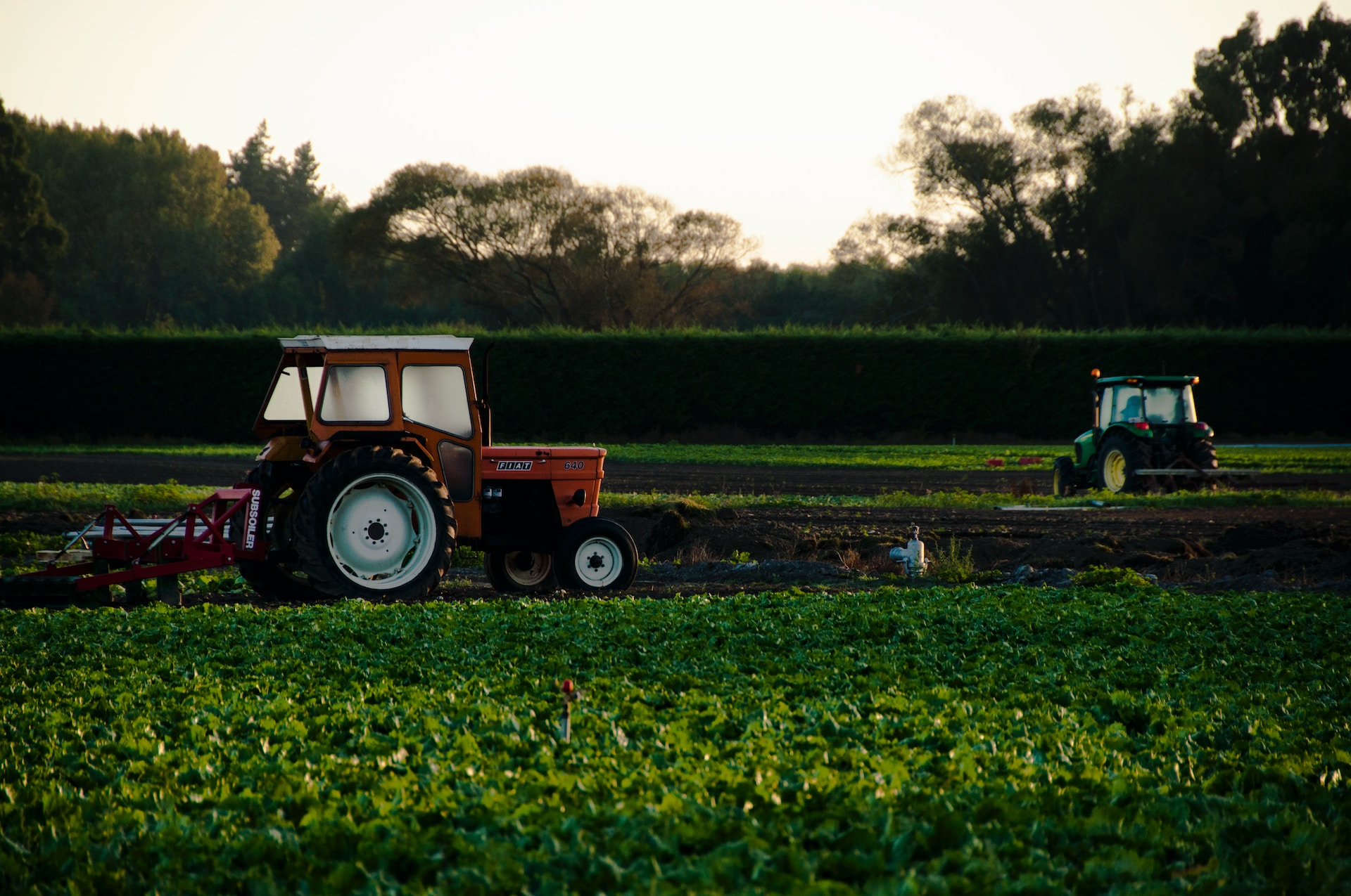 Agriculture, Forestry, and Fishing